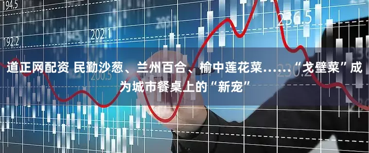 道正网配资 民勤沙葱、兰州百合、榆中莲花菜……“戈壁菜”成为城市餐桌上的“新宠”