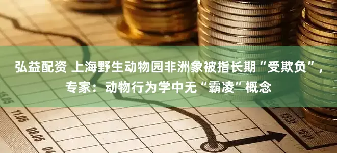 弘益配资 上海野生动物园非洲象被指长期“受欺负”，专家：动物行为学中无“霸凌”概念