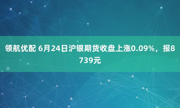 领航优配 6月24日沪银期货收盘上涨0.09%，报8739元