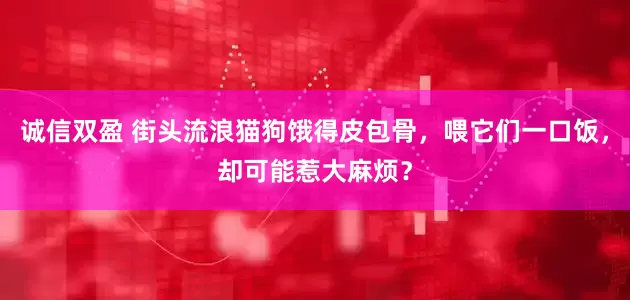 诚信双盈 街头流浪猫狗饿得皮包骨，喂它们一口饭，却可能惹大麻烦？